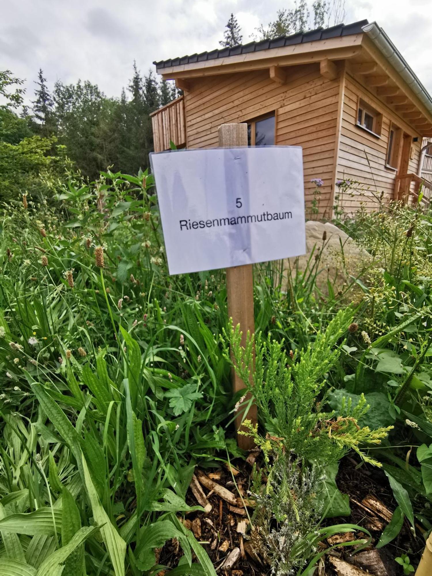 Wald Ist Zukunft Hotel Bernbeuren Exterior photo