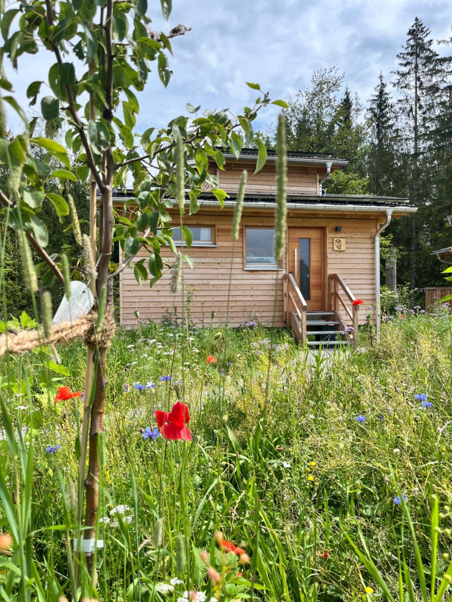 Wald Ist Zukunft Hotel Bernbeuren Exterior photo